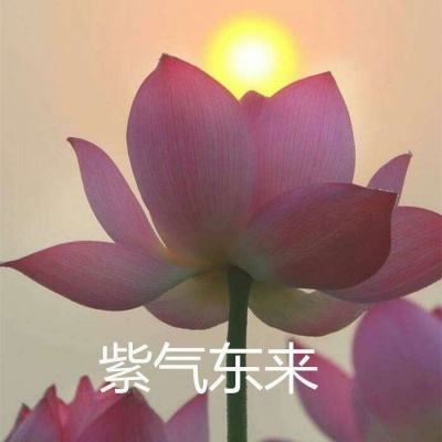 招降群英传最新版游戏下载